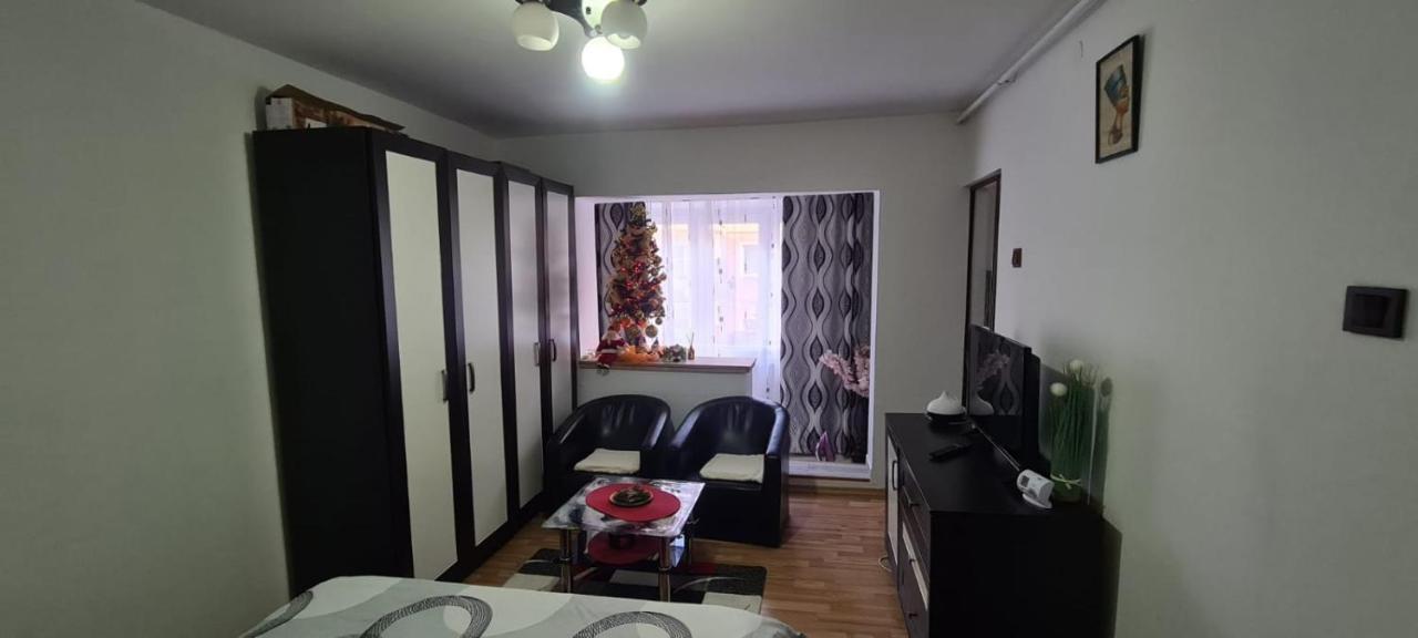 Garsoniera In Regim Hotelier 